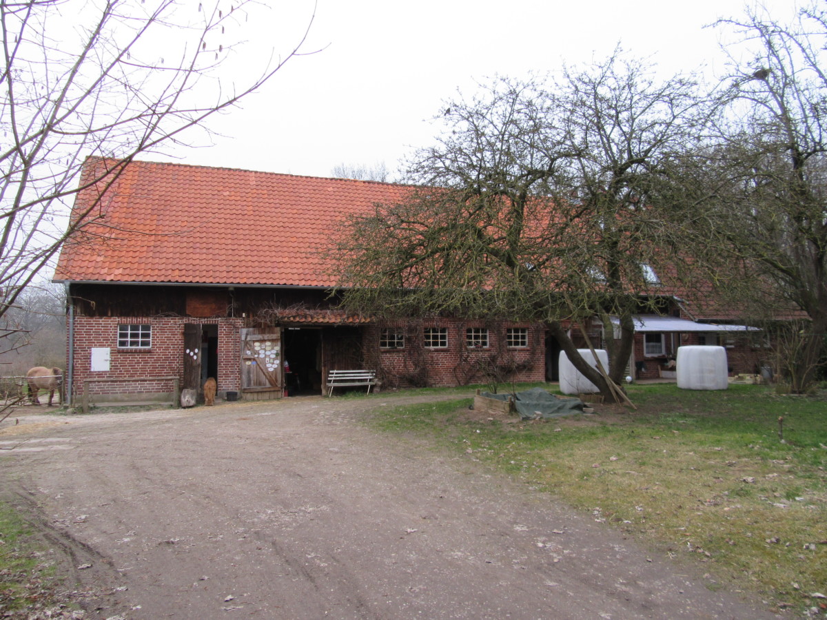 Resthof Mit Wohnbereich Angrenzendem Stall Separater Scheune Mit Schonem Offenstall Weideflache Sowie Einem Separaten Vermieteten Kleinen Haus Schwarz Immobilien